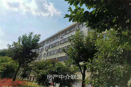 城北菜场后私人别墅，豪华装修，高档家具，南北通透，大产权，急